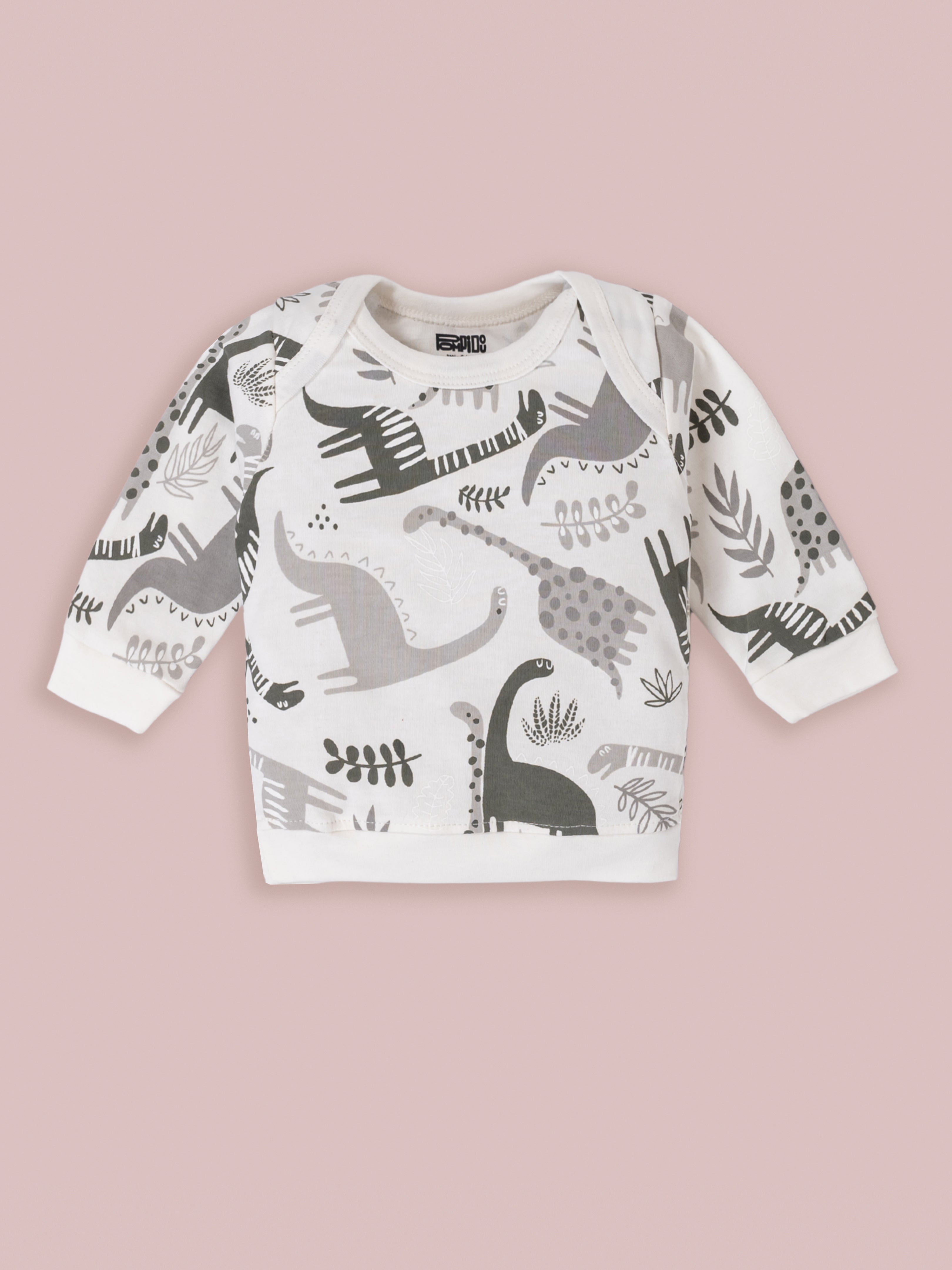 Baby Boys Casual T-Shirt with Pant