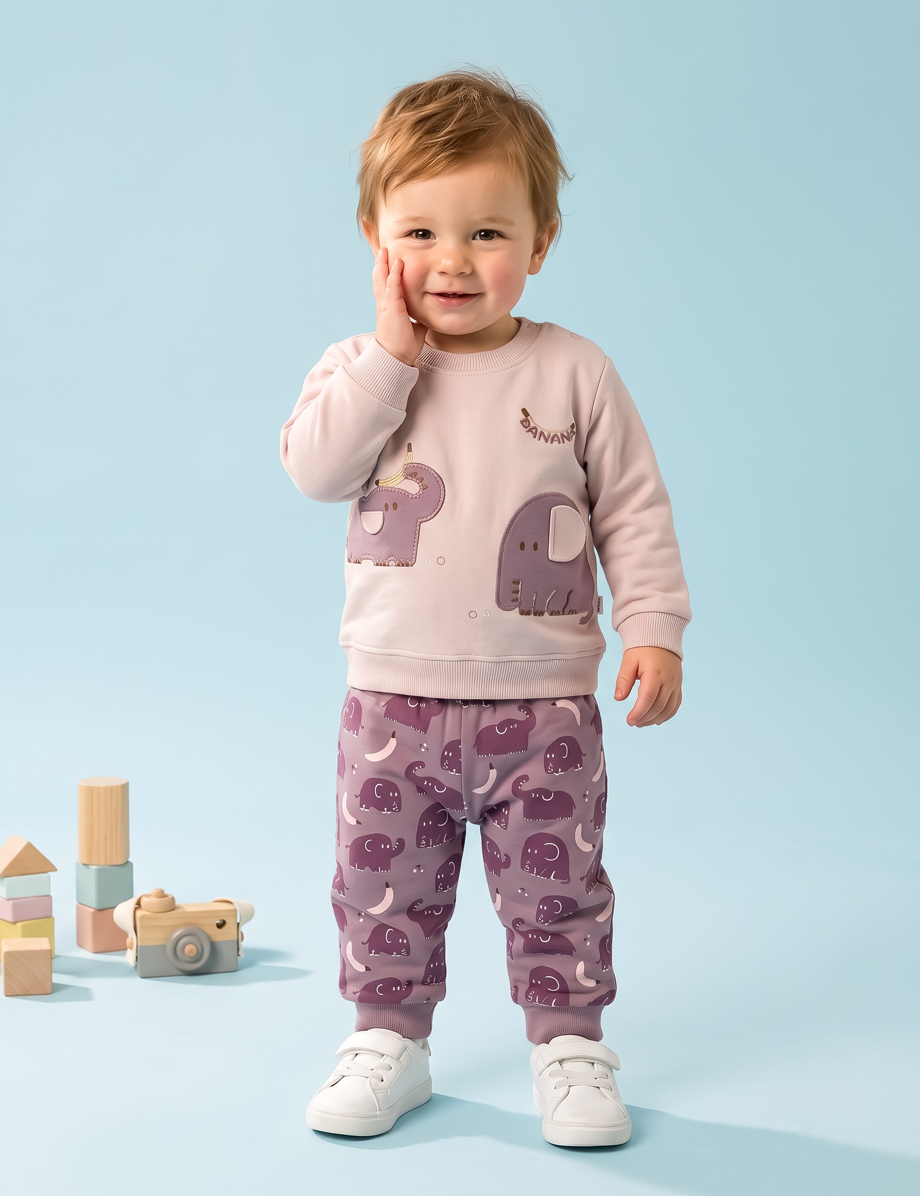 Baby Boy Printed Sweatshirt and Jogger Set