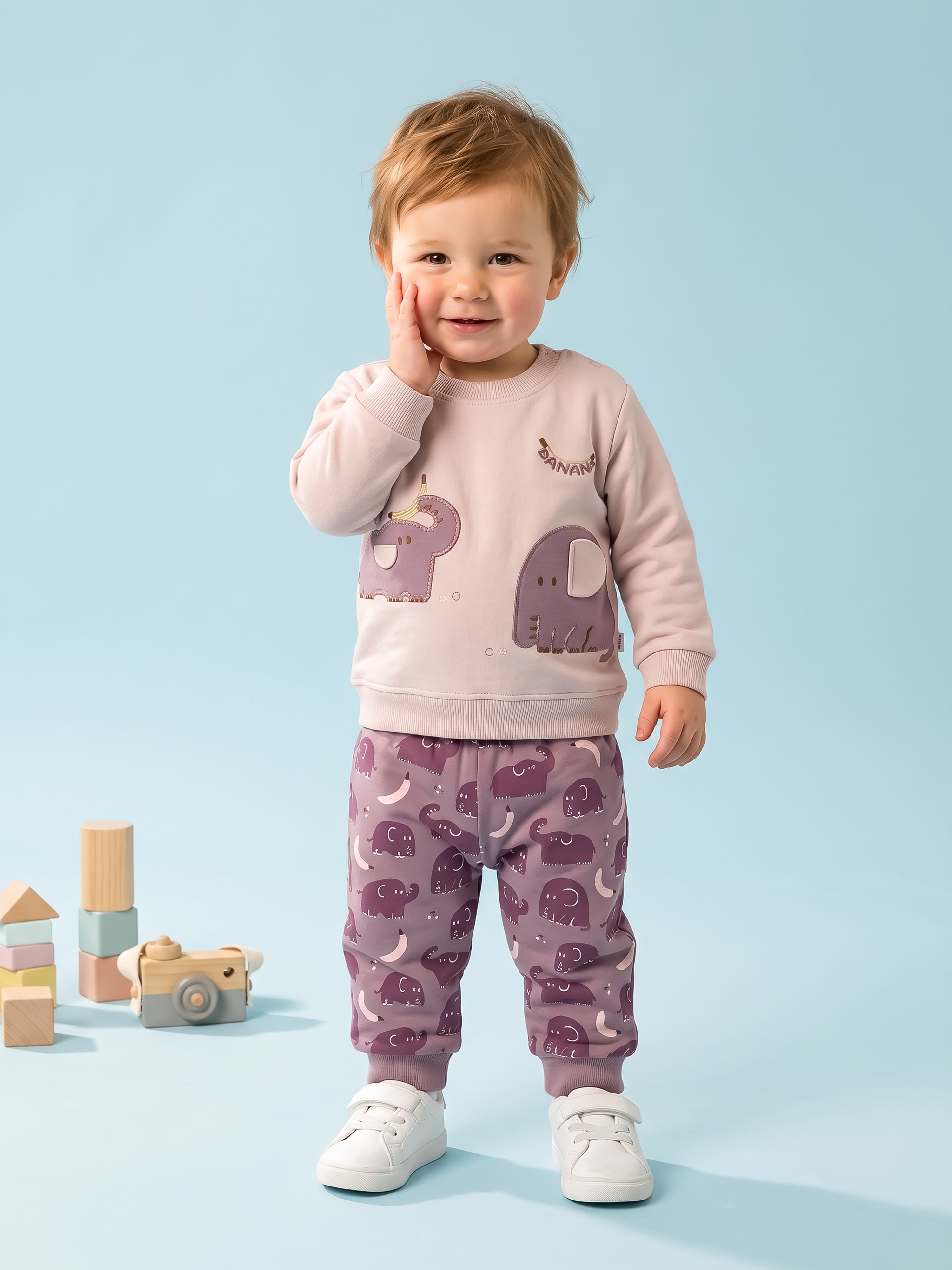 Baby Boy Printed Sweatshirt and Jogger Set