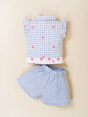 Toddler Girl Top and Skirt Embroidered Check Set