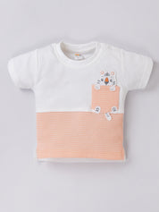 Baby Boys Casual Shirt with Shorts