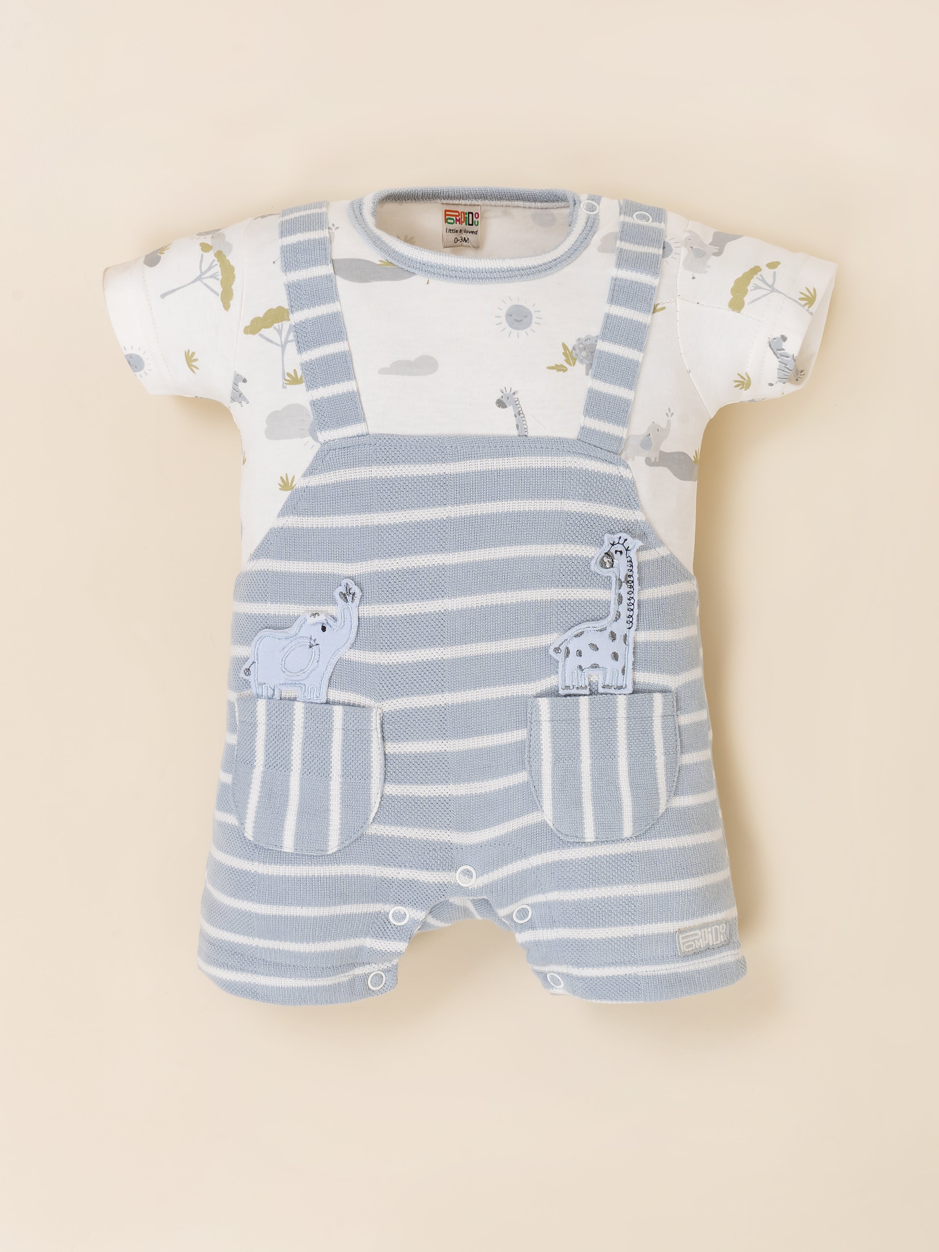 Baby Boy Romper Set