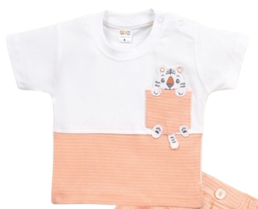 Baby Boys Casual Shirt with Shorts