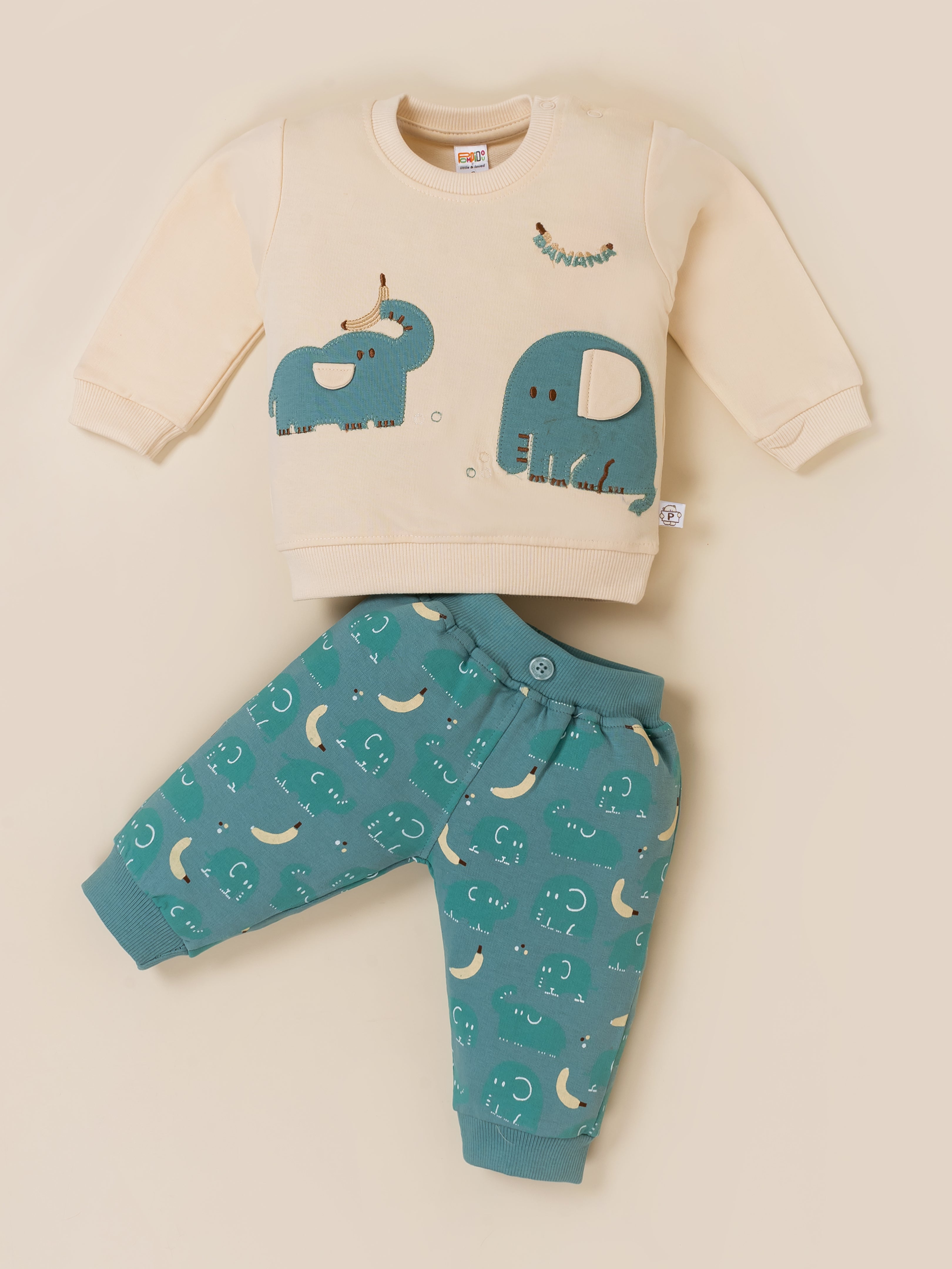 Baby Boy Printed Sweatshirt and Jogger Set