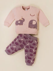 Baby Boy Printed Sweatshirt and Jogger Set