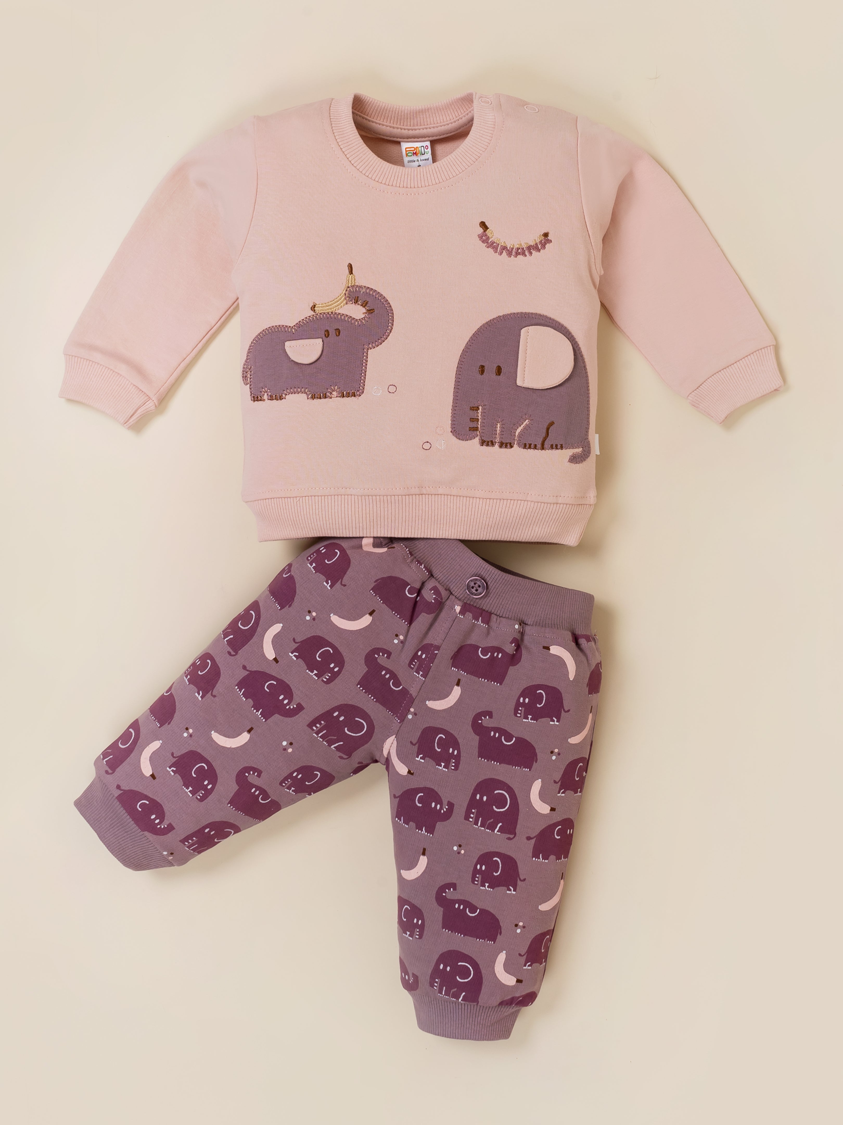 Baby Boy Printed Sweatshirt and Jogger Set