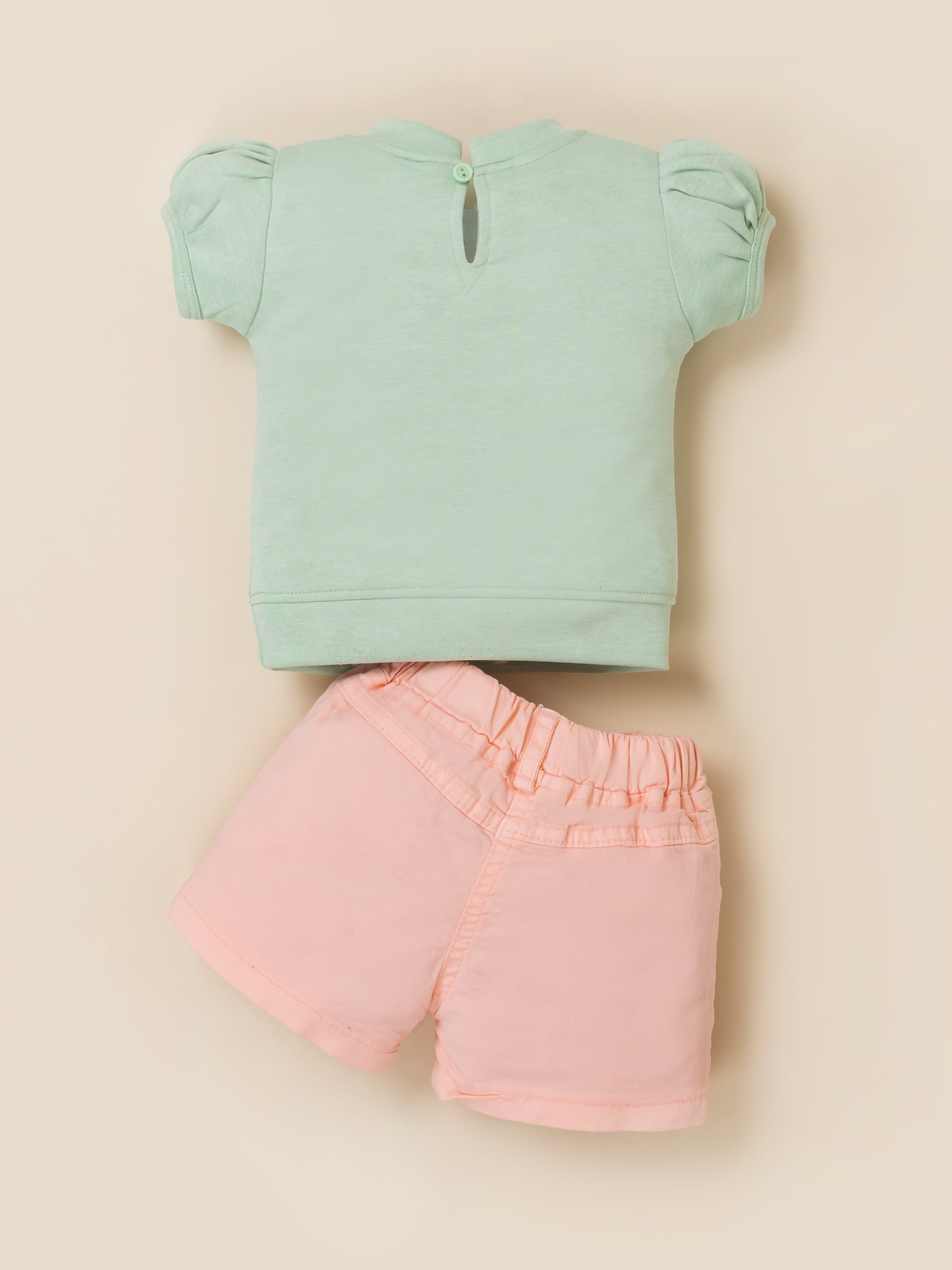 Baby Girls Printed T-Shirt & Shorts Clothing Set
