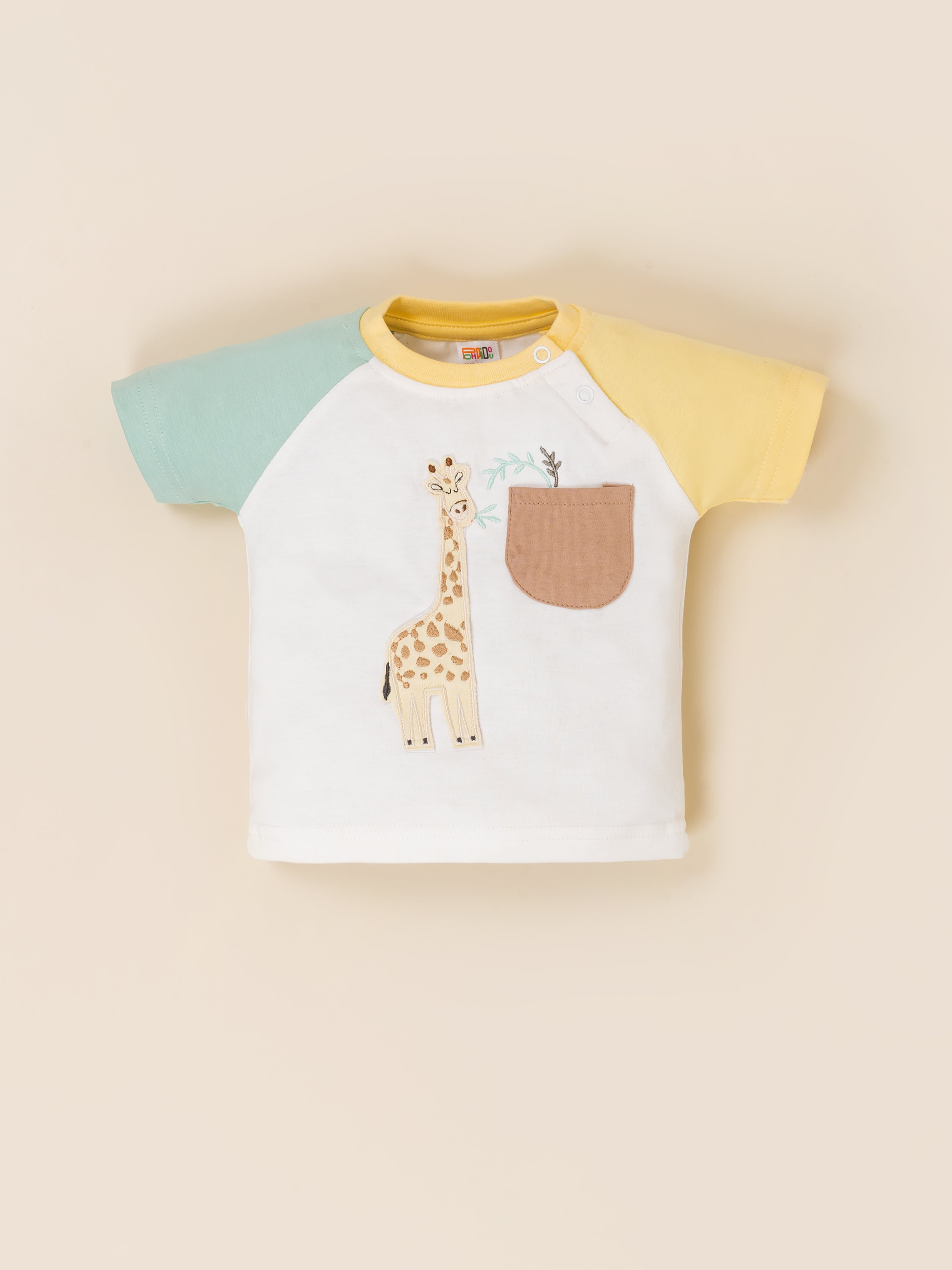 Toddler Boys' T-Shirt & Short Set