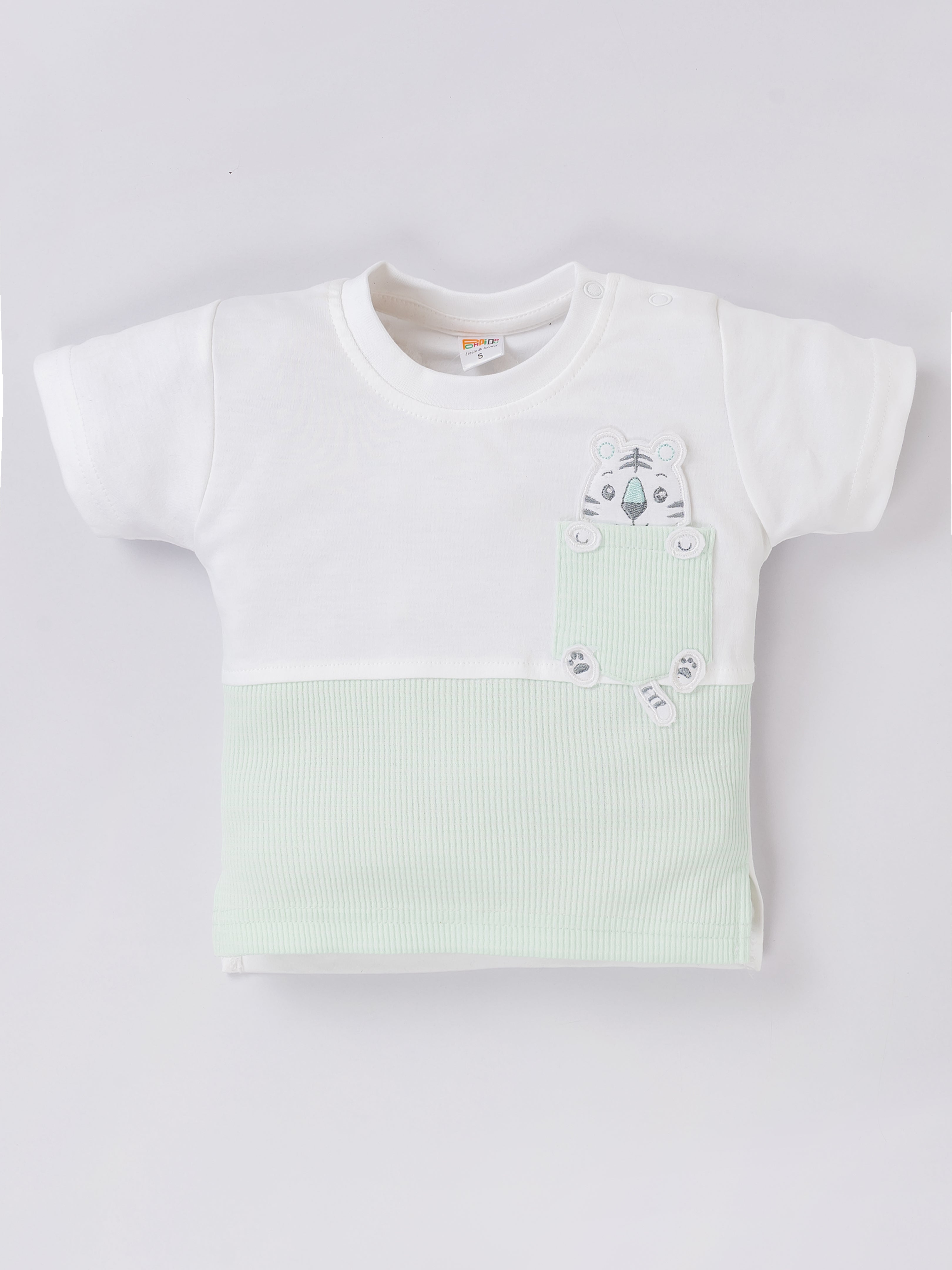 Baby Boys Casual Shirt with Shorts