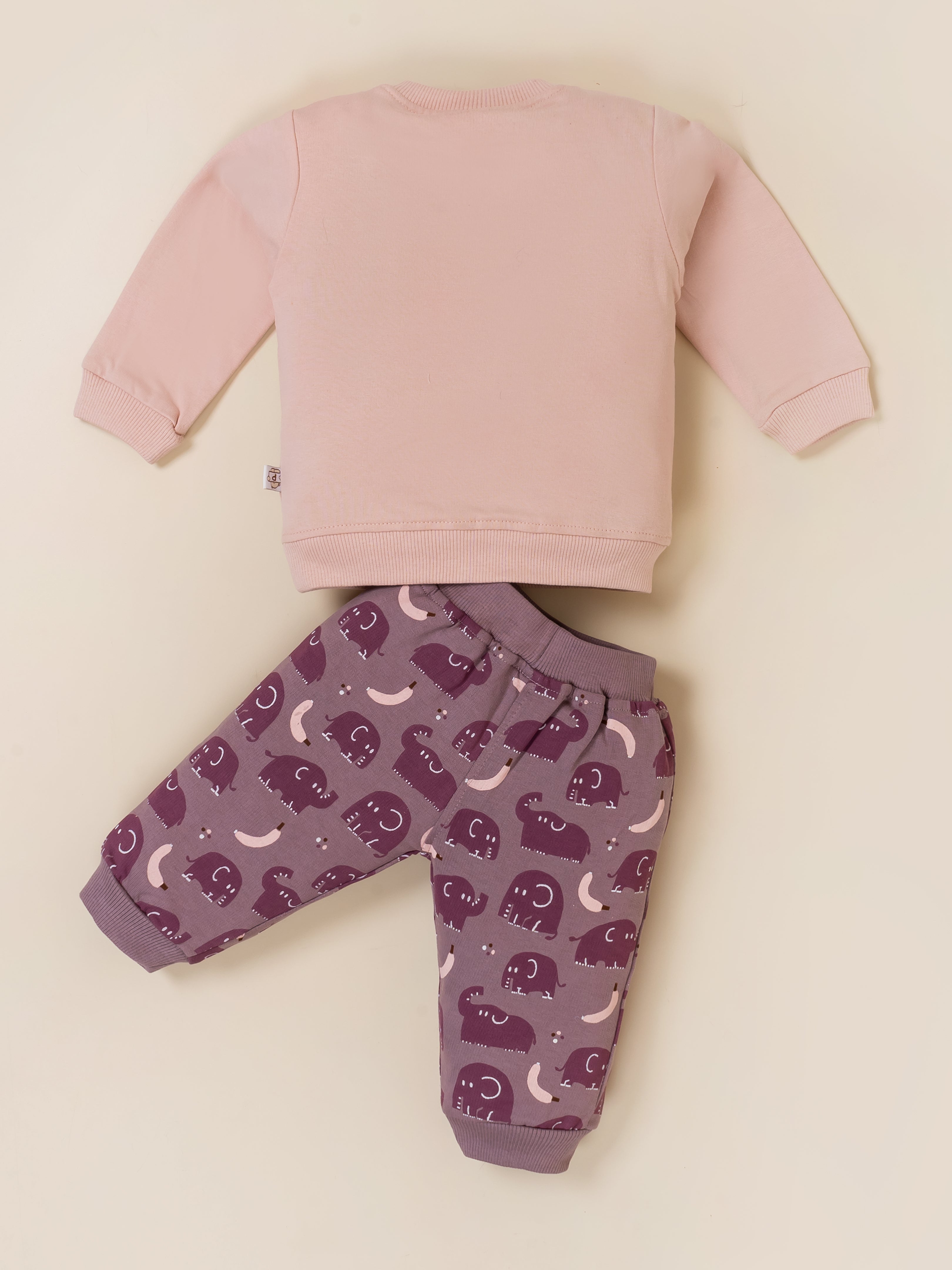 Baby Boy Printed Sweatshirt and Jogger Set