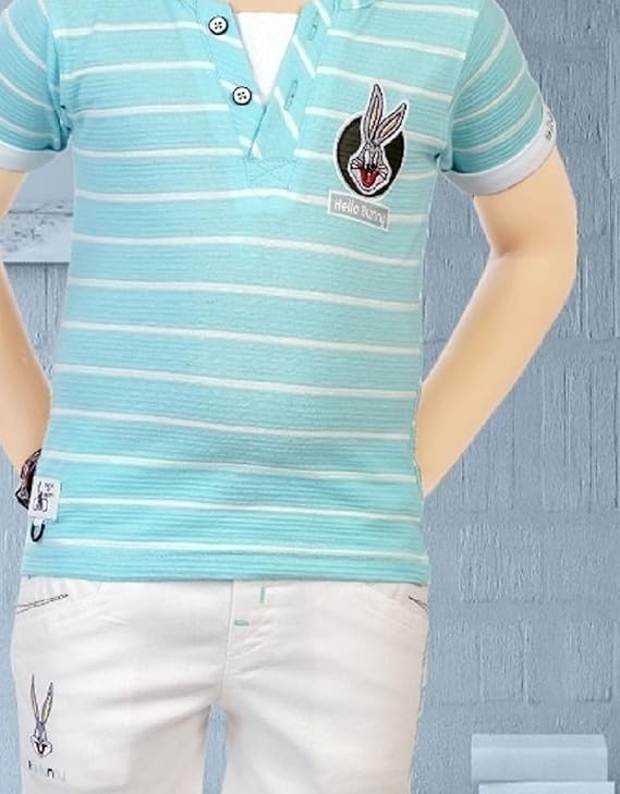 CHOO  CHOO Boys Printed T-shirt and shorts