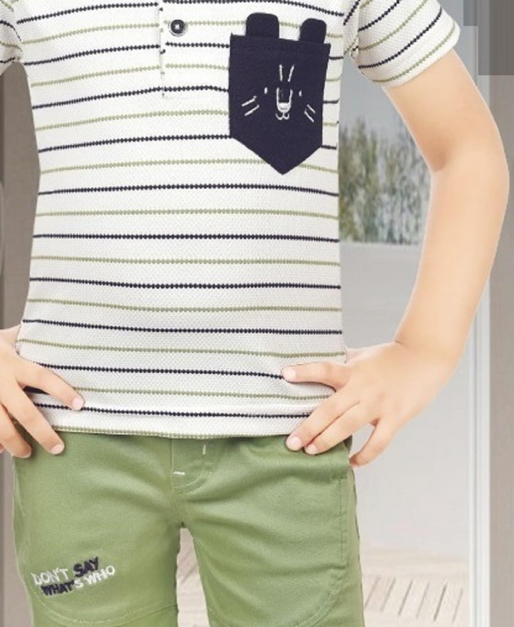 CHOO CHOO Boys Printed  T-shirt and shorts