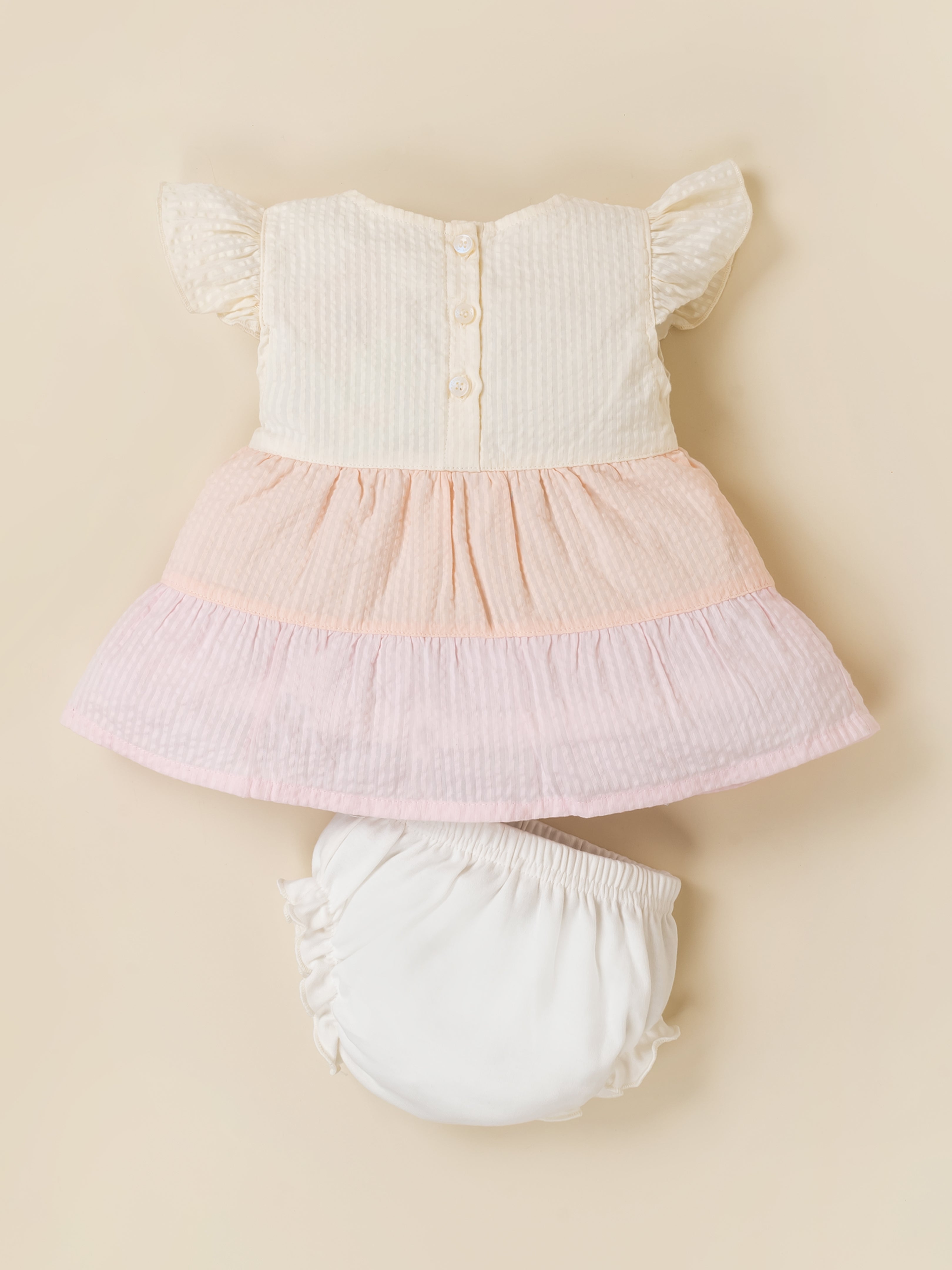 Baby Girls Floral Applique Colorblock Dress