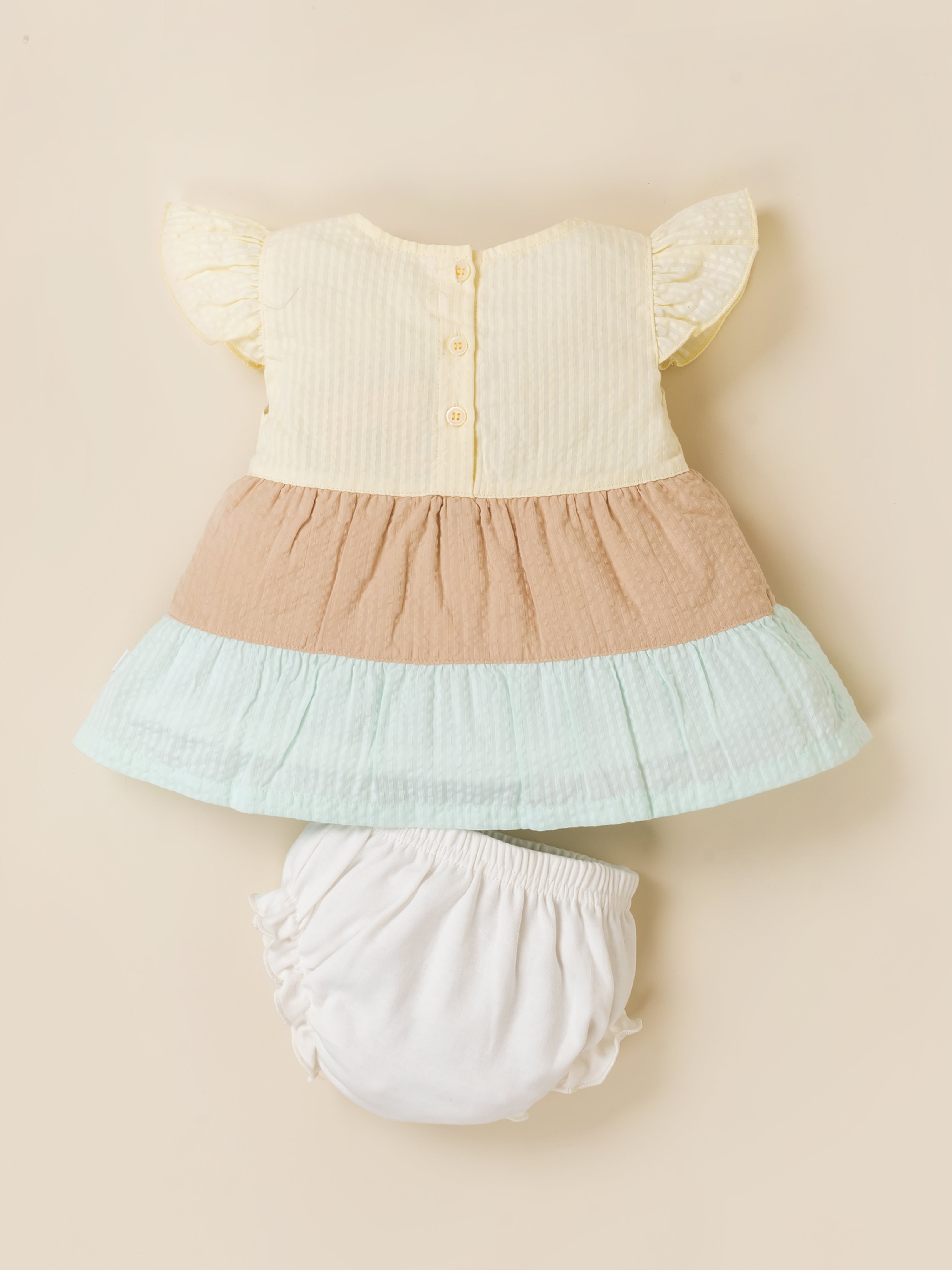 Baby Girls Floral Applique Colorblock Dress