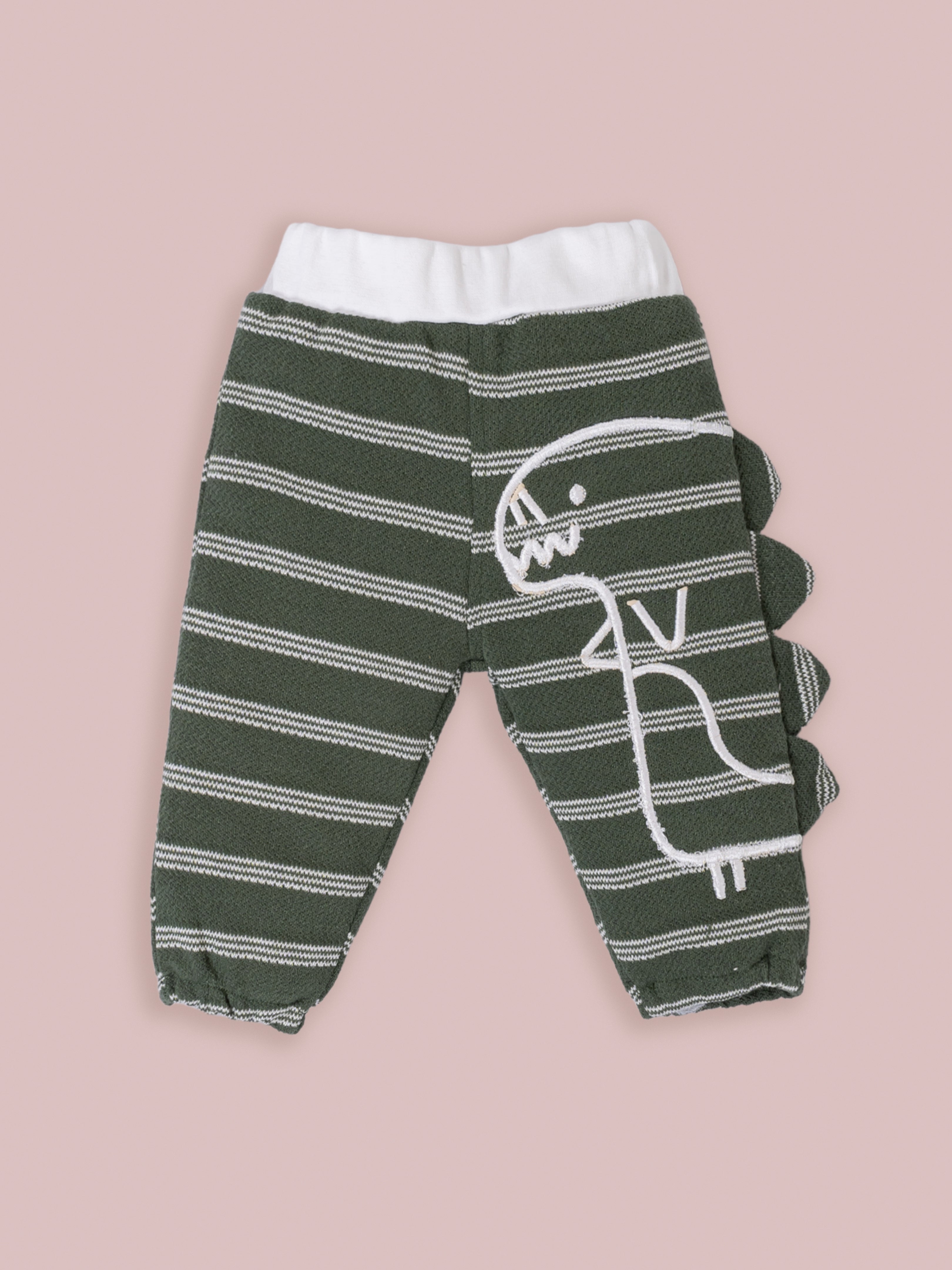 Baby Boys Casual T-Shirt with Pant
