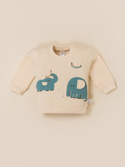 Baby Boy Printed Sweatshirt and Jogger Set