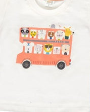 Baby Boys Casual Shirt with Shorts