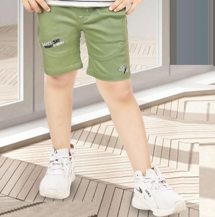 CHOO CHOO Boys Printed  T-shirt and shorts