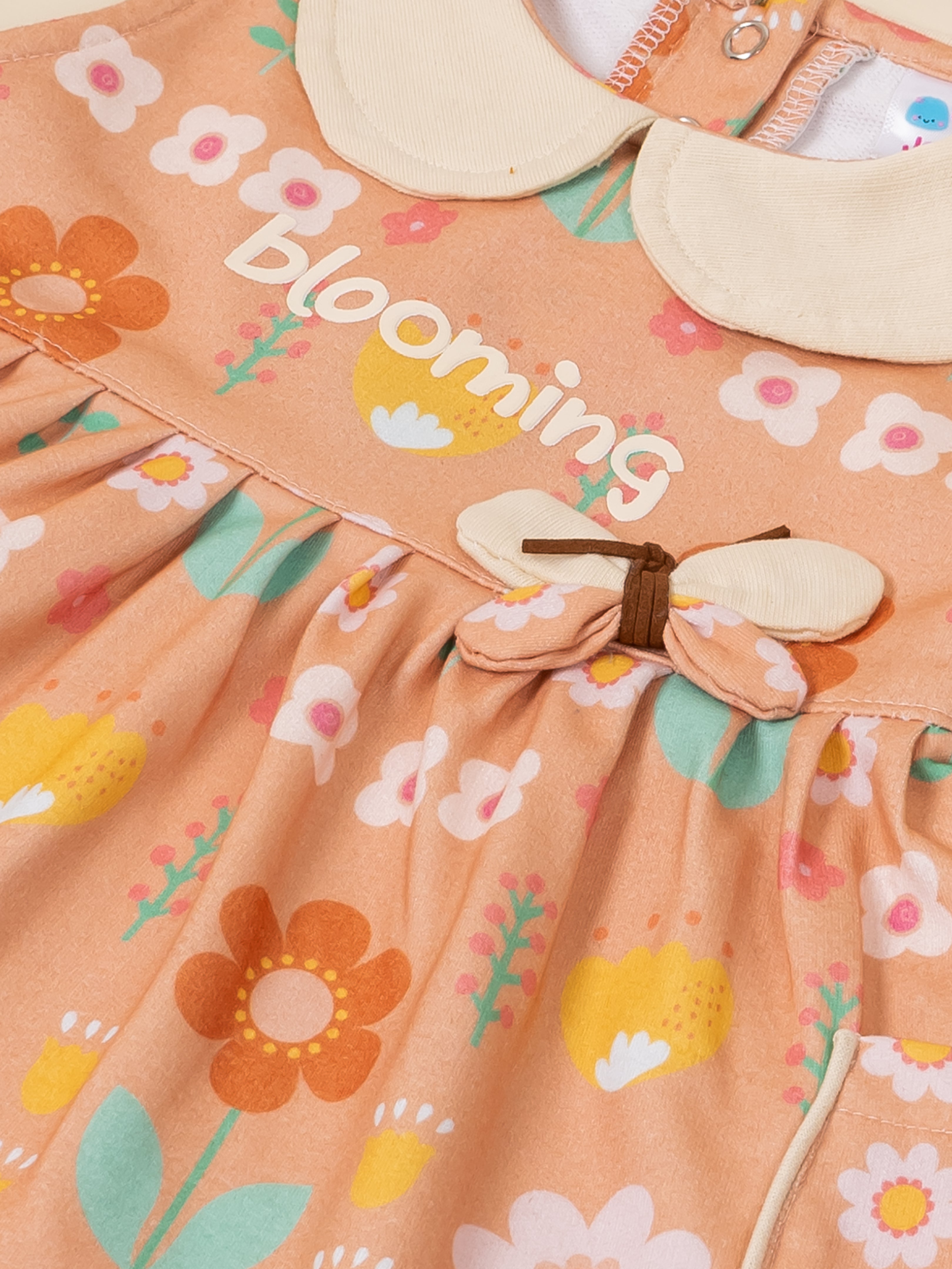 Baby Girl Floral Peter Pan Collar Dress