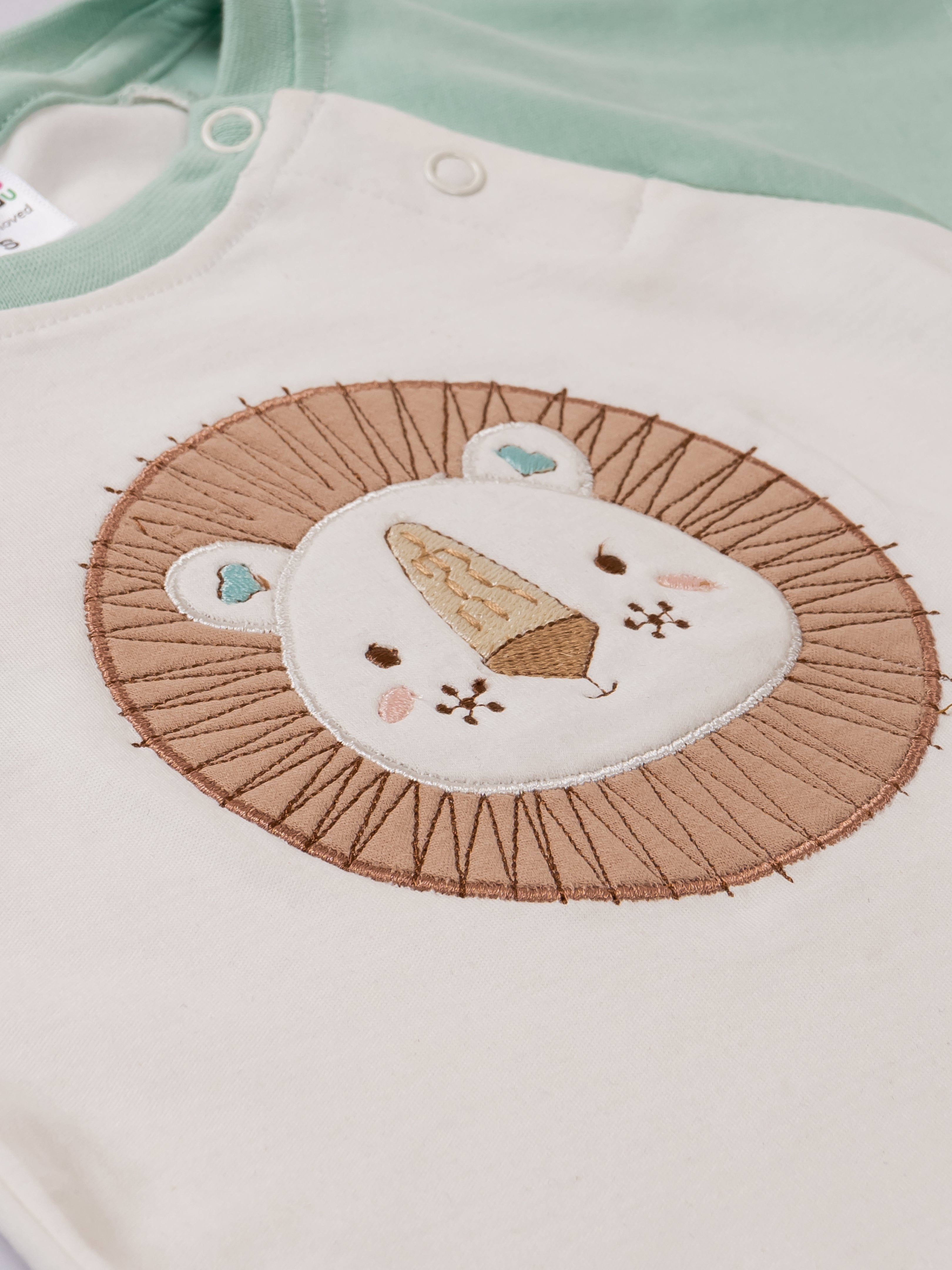 Baby Boys Casual Shirt with Shorts