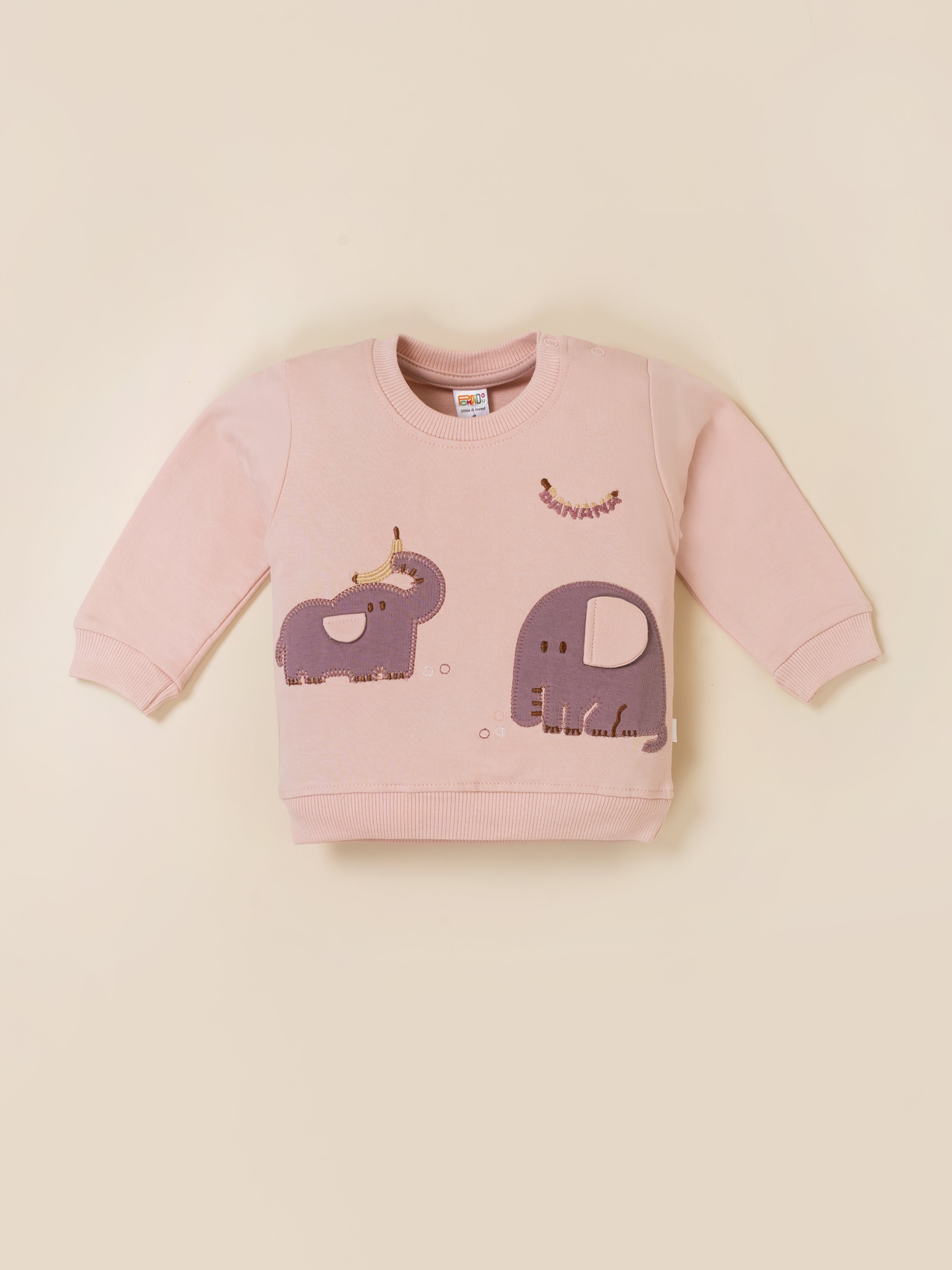Baby Boy Printed Sweatshirt and Jogger Set