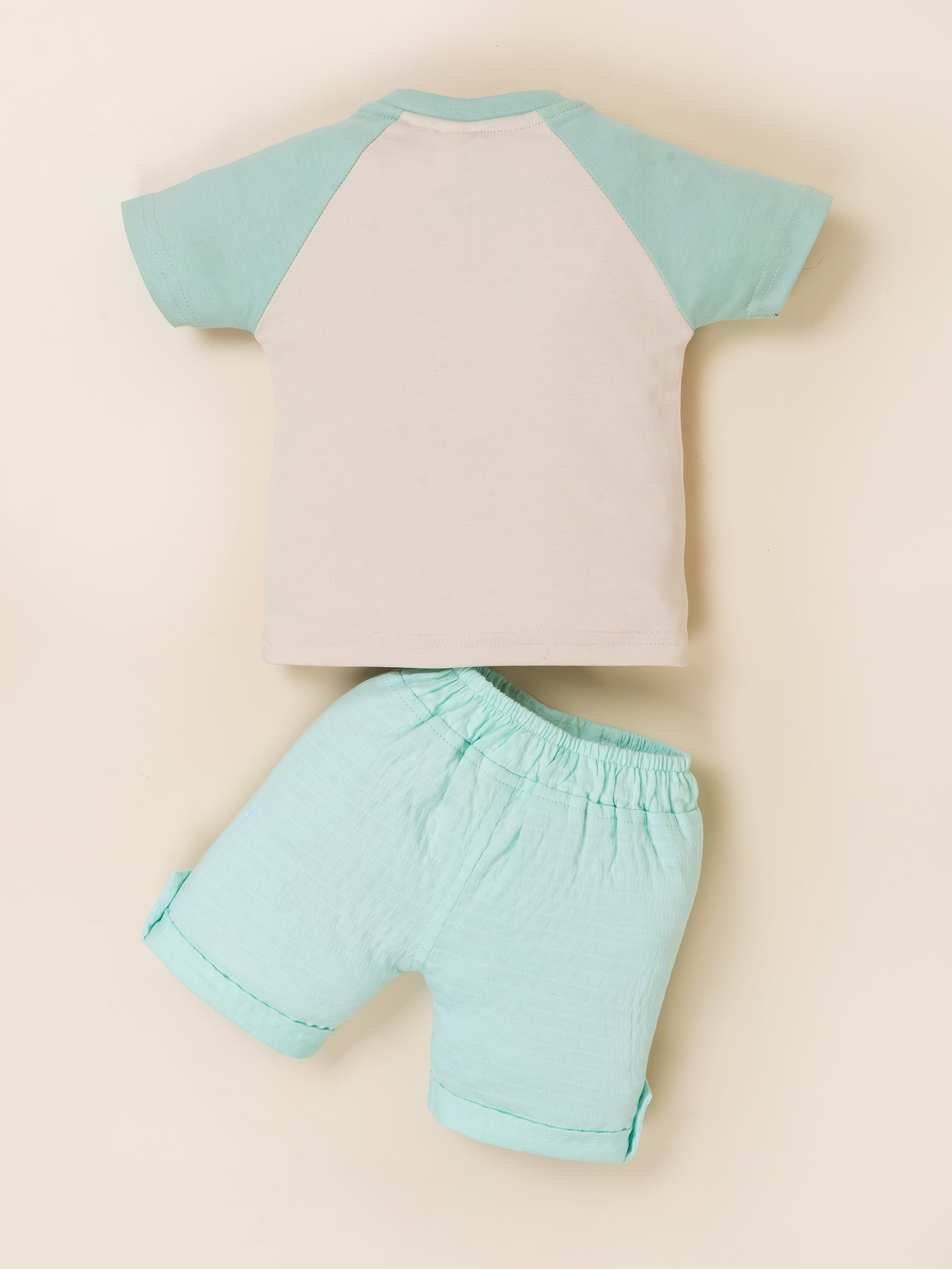 Baby Boys' T-Shirt & Short Set