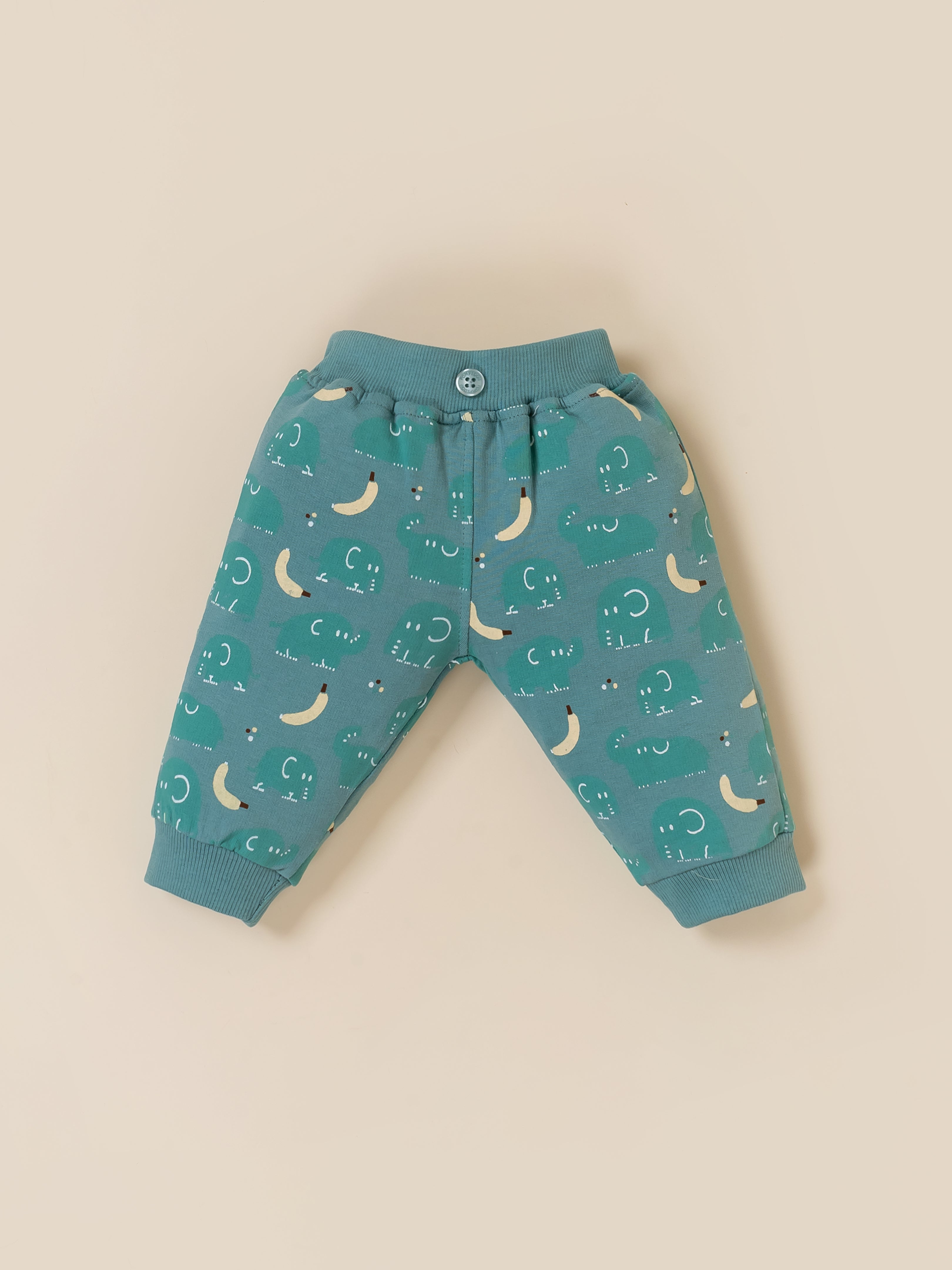Baby Boy Printed Sweatshirt and Jogger Set
