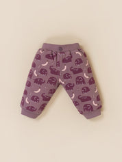 Baby Boy Printed Sweatshirt and Jogger Set