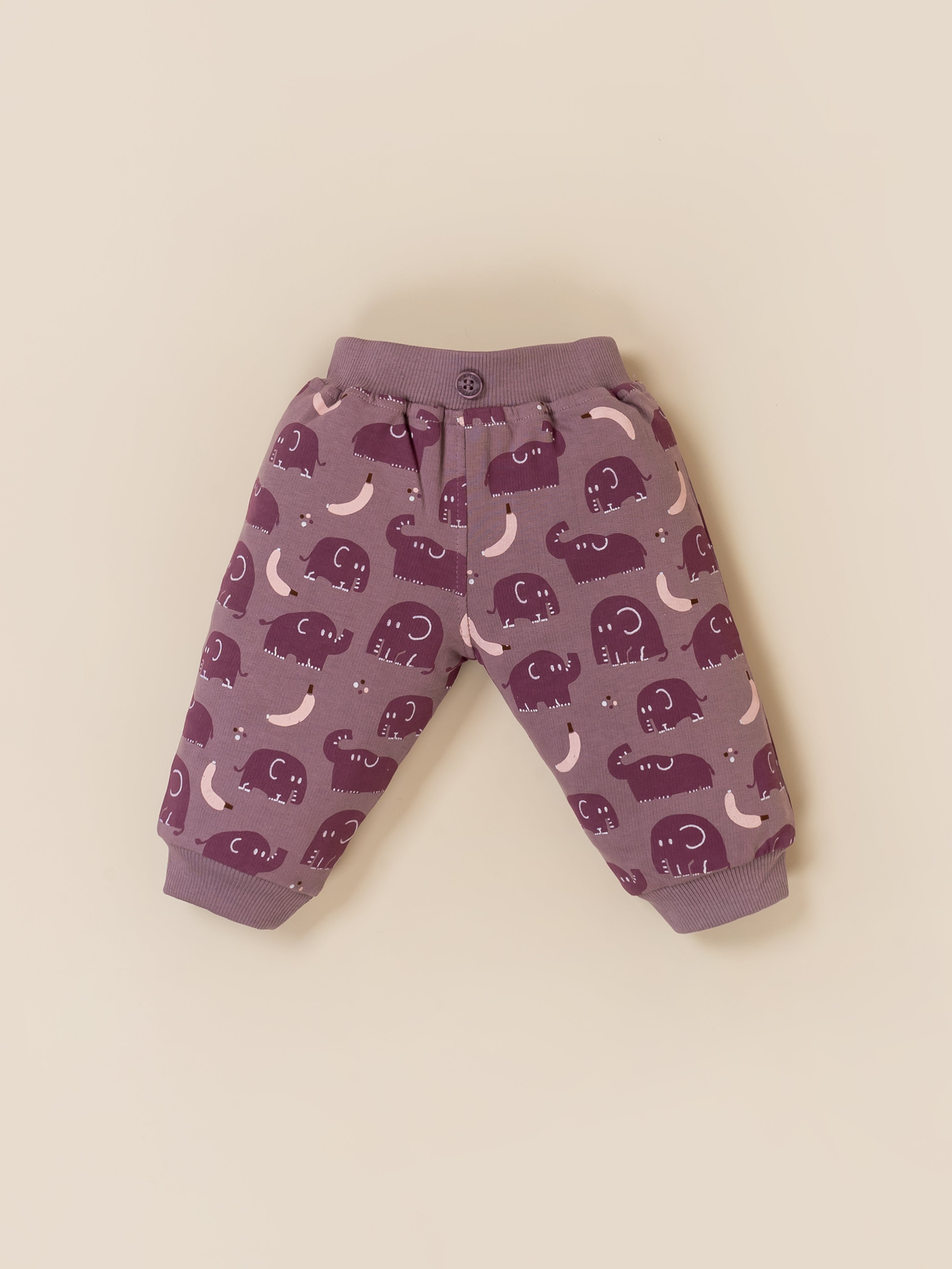 Baby Boy Printed Sweatshirt and Jogger Set