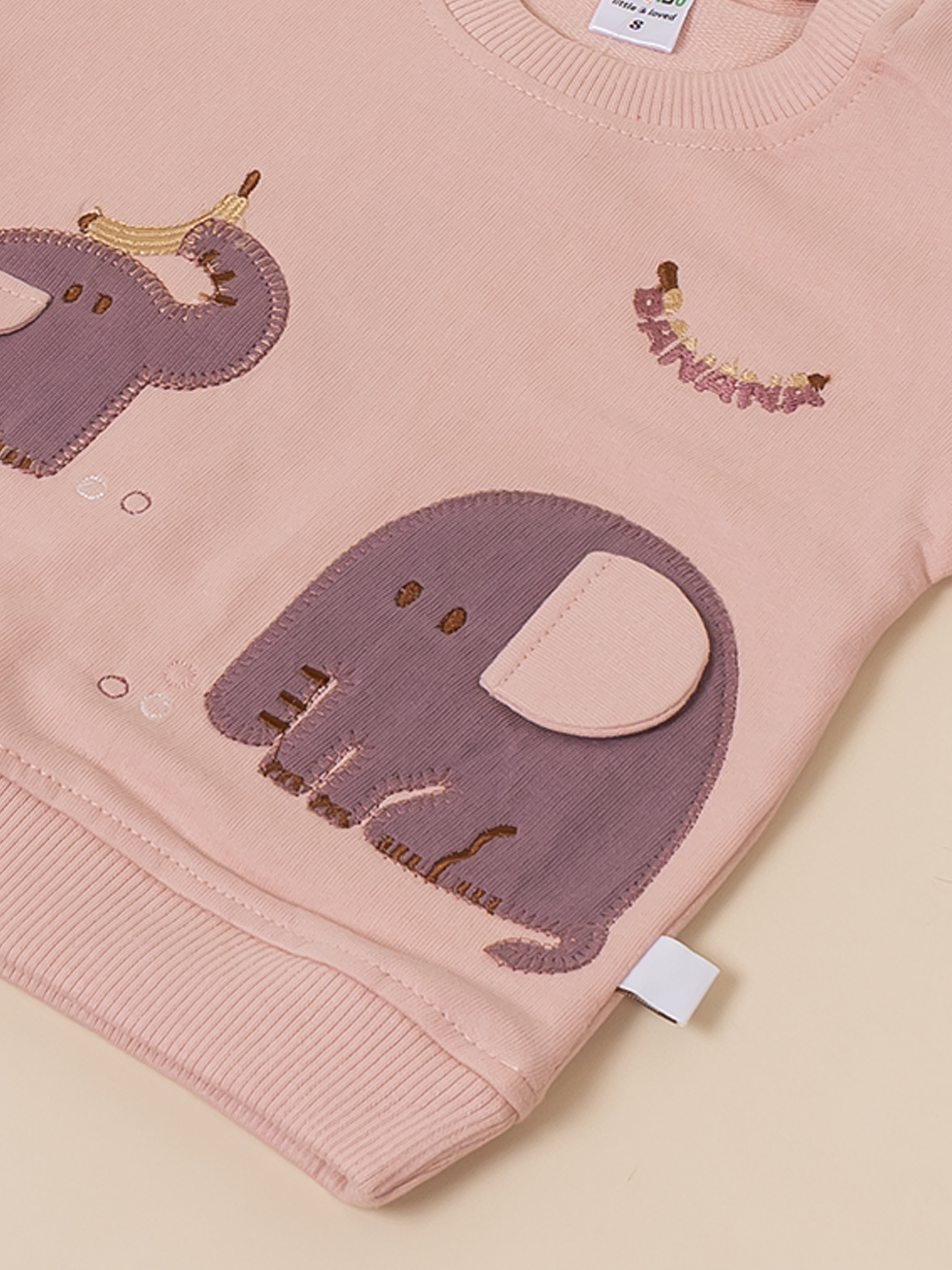Baby Boy Printed Sweatshirt and Jogger Set