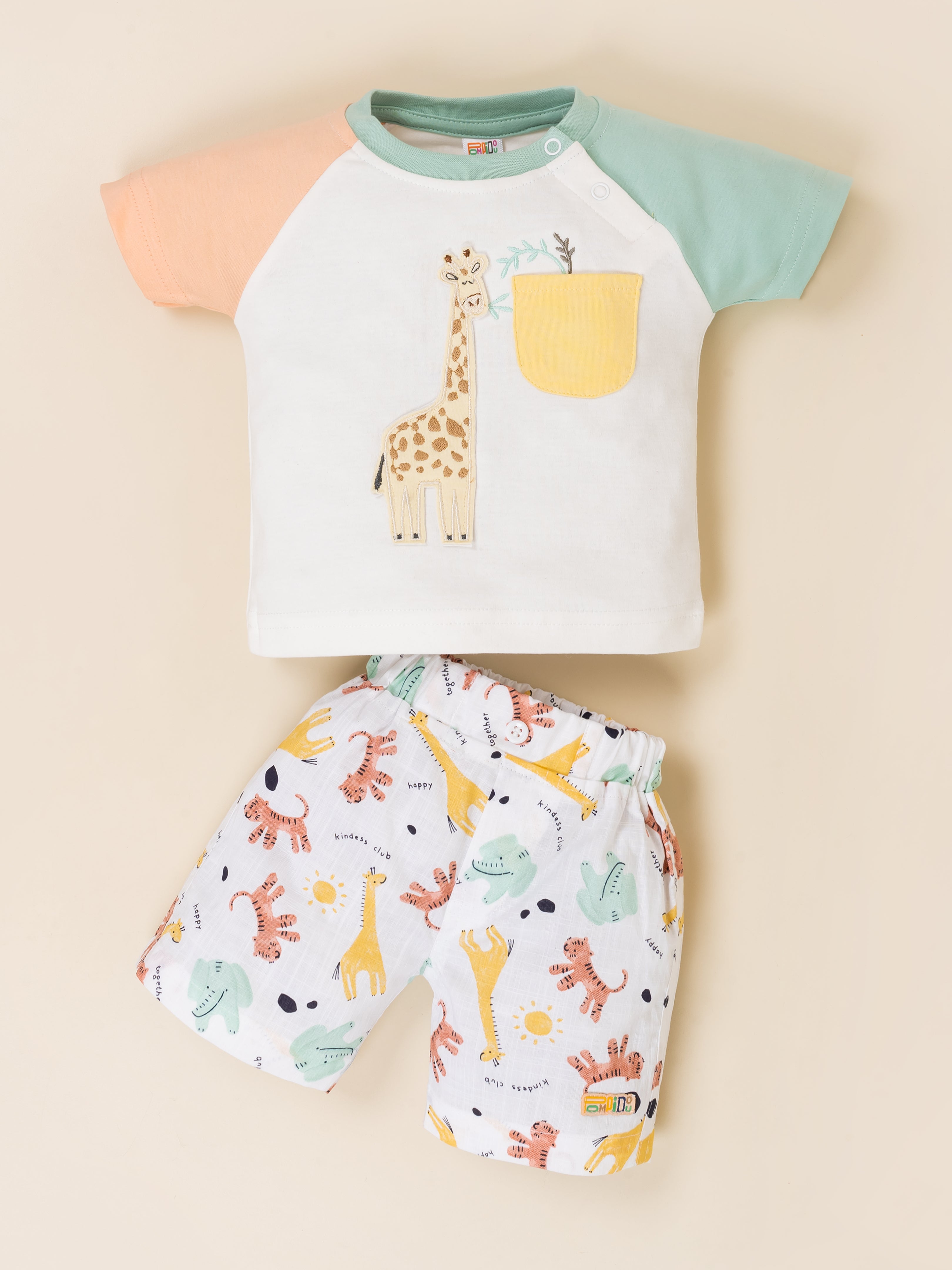 Toddler Boys' T-Shirt & Short Set