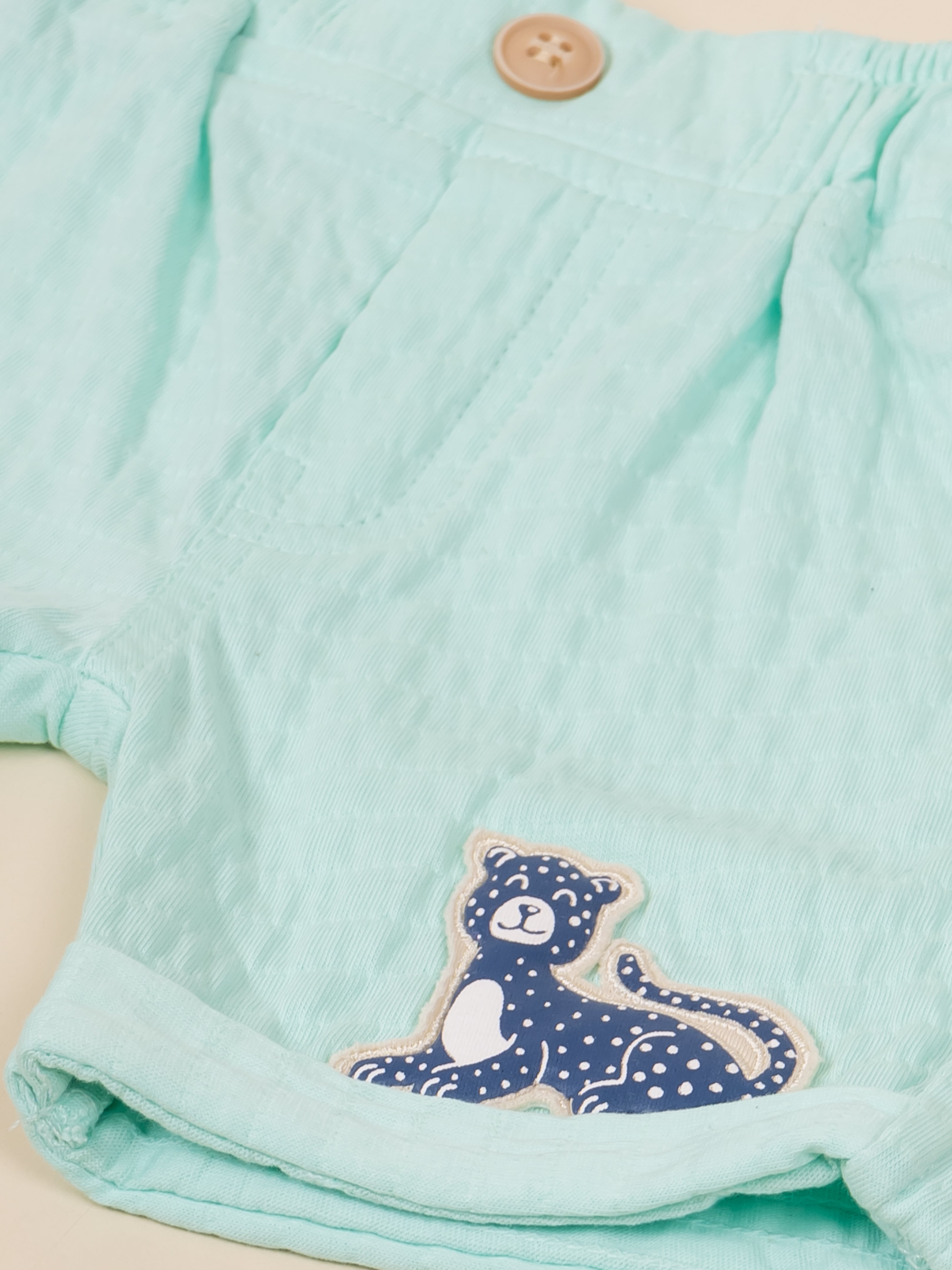 Baby Boys' T-Shirt & Short Set