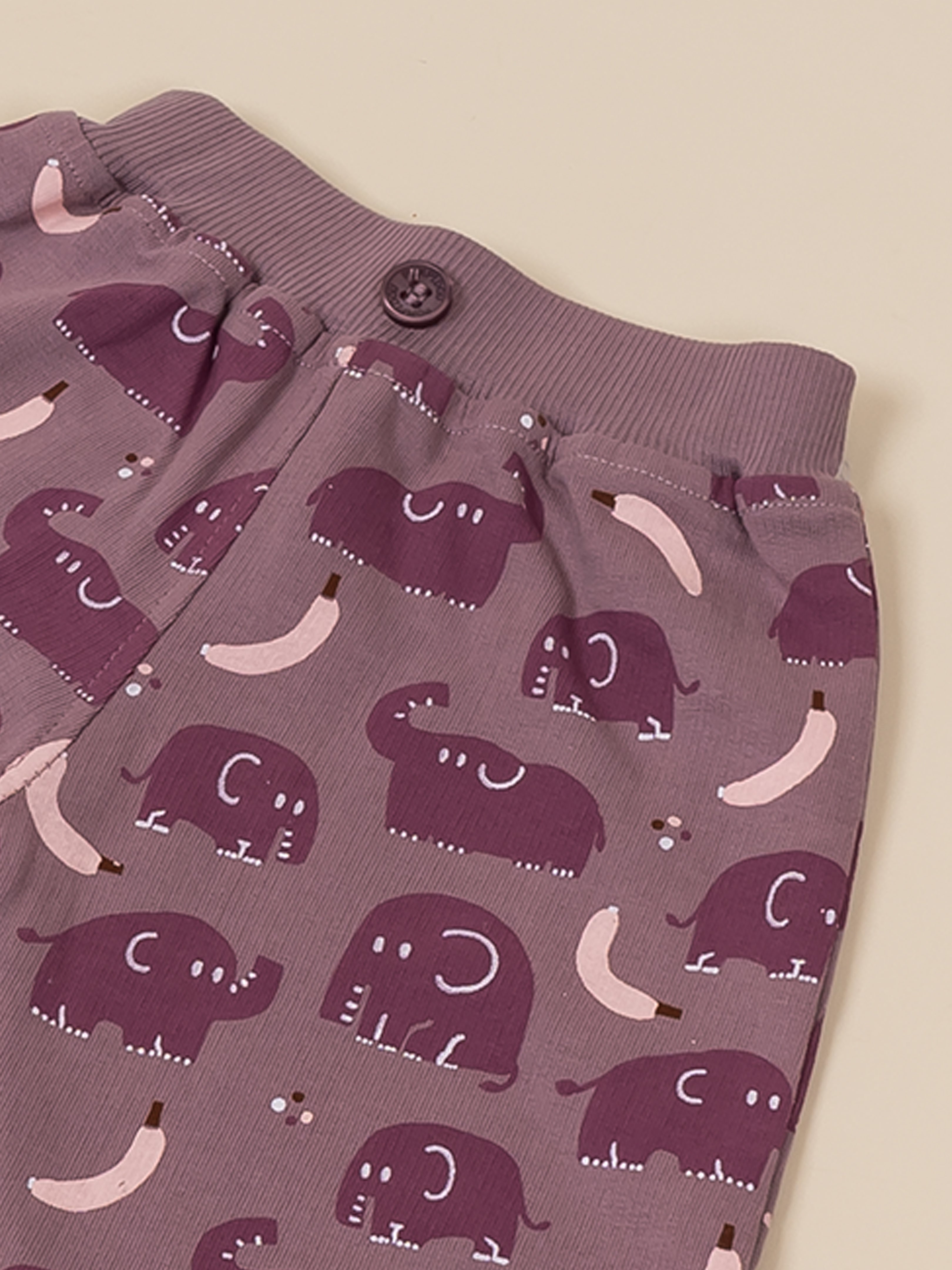 Baby Boy Printed Sweatshirt and Jogger Set